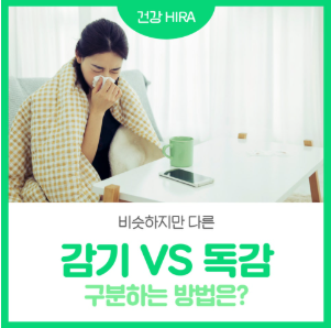 추운 날씨의 불청객: 비슷하지만 다른 감기와 독감 구분하는 방법은?관련 썸네일 이미지